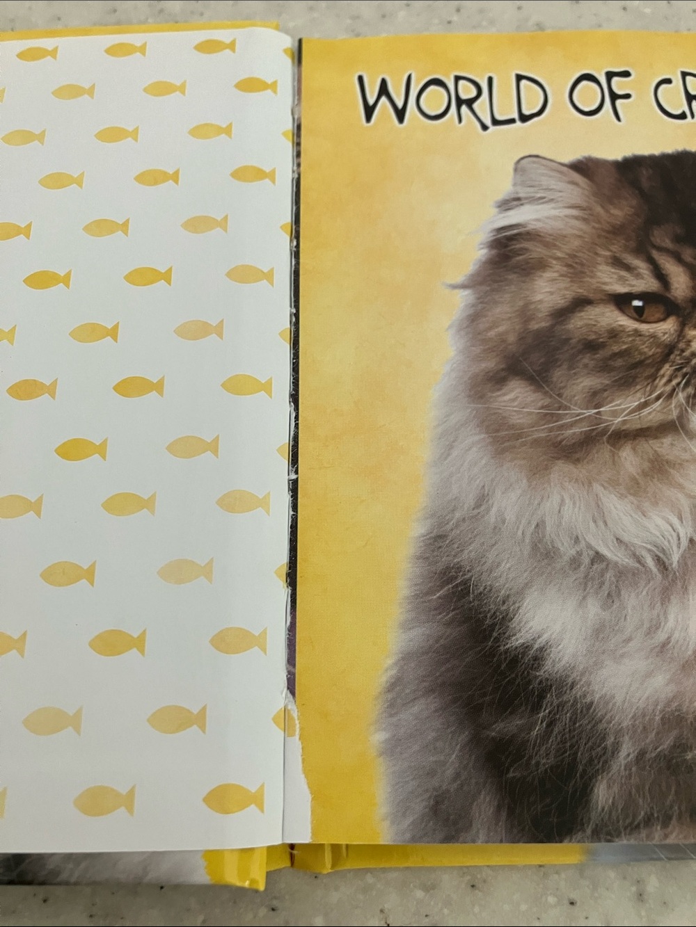 World of Cranky Cats Hardcover Full of Cattitude - Picture 4 of 7